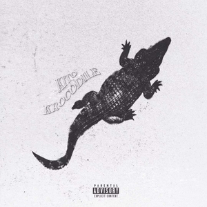 成熟女人记录自己被一根大黑屌操得快感不断
