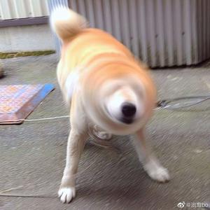 成熟女人记录自己被一根大黑屌操得快感不断
