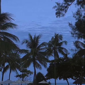 成熟女人记录自己被一根大黑屌操得快感不断
